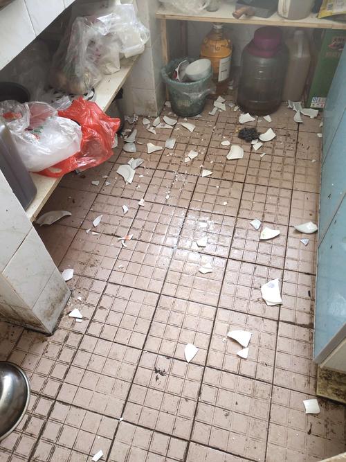 听着乒乒乓乓的声音,我的心真是碎了一地啊