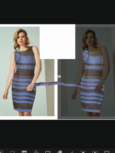 我人都傻了_裙子_蓝黑白金裙子