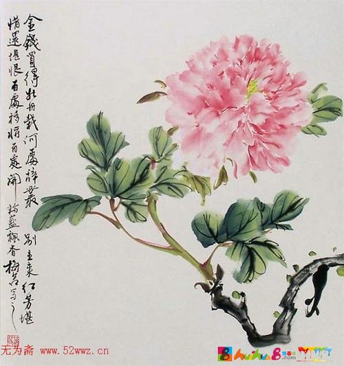 梅若中国画牡丹写意画作品欣赏