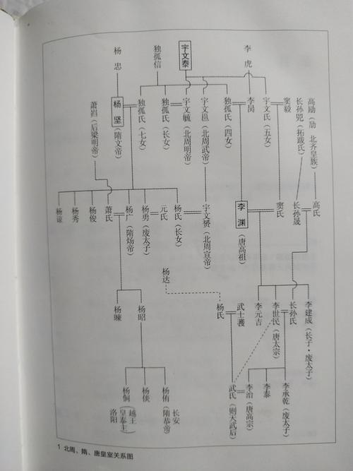 唐朝"客户" 宇文融从都城长安附近高平县的一个官吏跃身于政权中心乃
