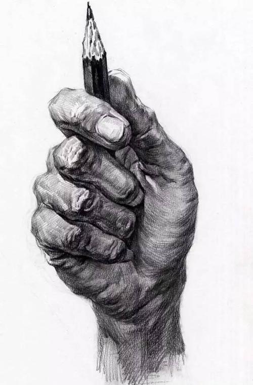 这组关于手的素描拥有各种各样的动作和素描手势, 每一副都针对不同