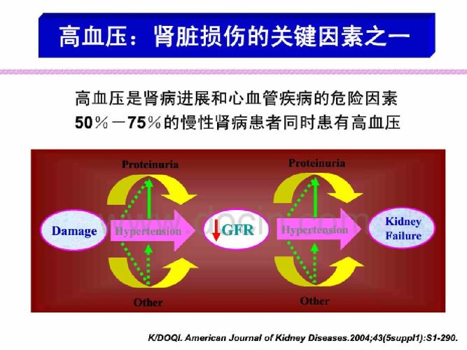 中国肾性高血压治疗的专家共识_陈香美(2010年年会)ppt