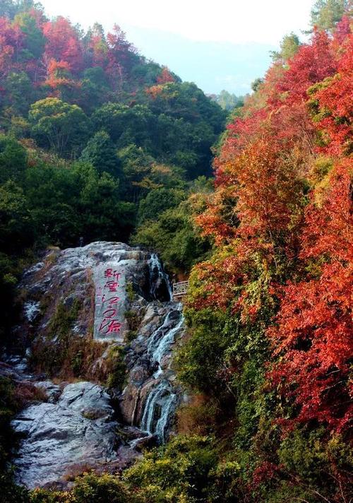 新丰云髻山还有为人所津津乐道的【七大唯一:】 1 ,唯一在广东的秋季
