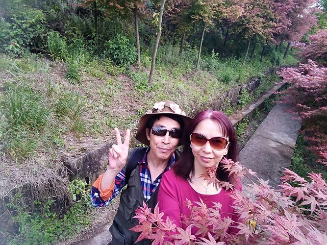 巴南松木嘴红叶