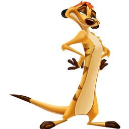 timon