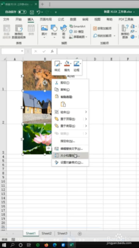 在excel中如何使图片根据单元格大小变化?