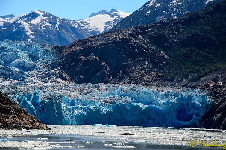 阿拉斯加冰河湾之旅 (二)