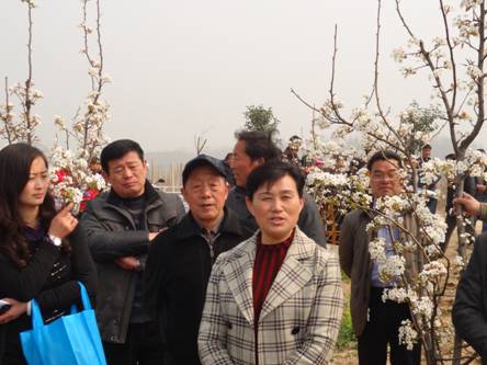 太和县诗词学会到界首"梨花节"采风