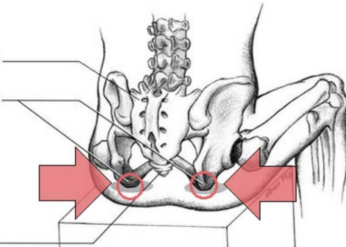 坐骨就像鼎的两个足,应该支撑起全身的重量.