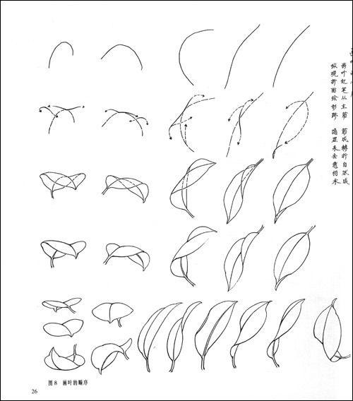 叶子的画法