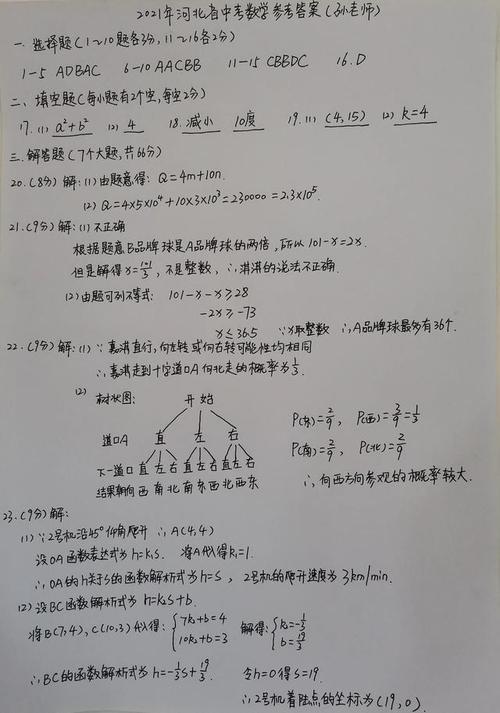 2021年河北中考数学试卷含答案解析
