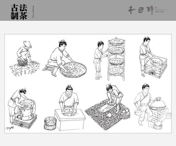 【千日醉】普洱茶熟茶 饼茶 七子饼茶熟茶特级 勐海熟茶 买2送1-tmall
