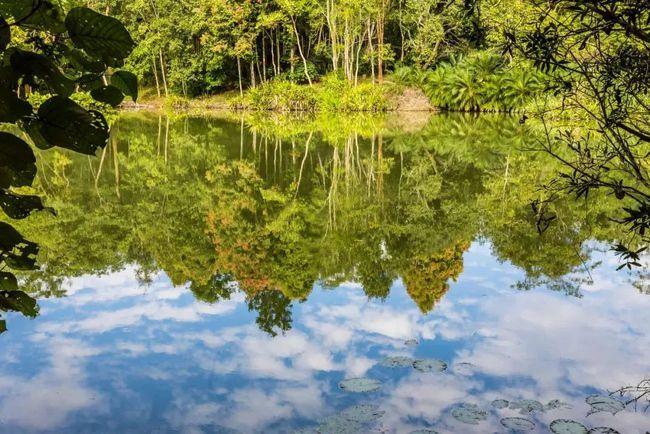 西双版纳原始森林公园