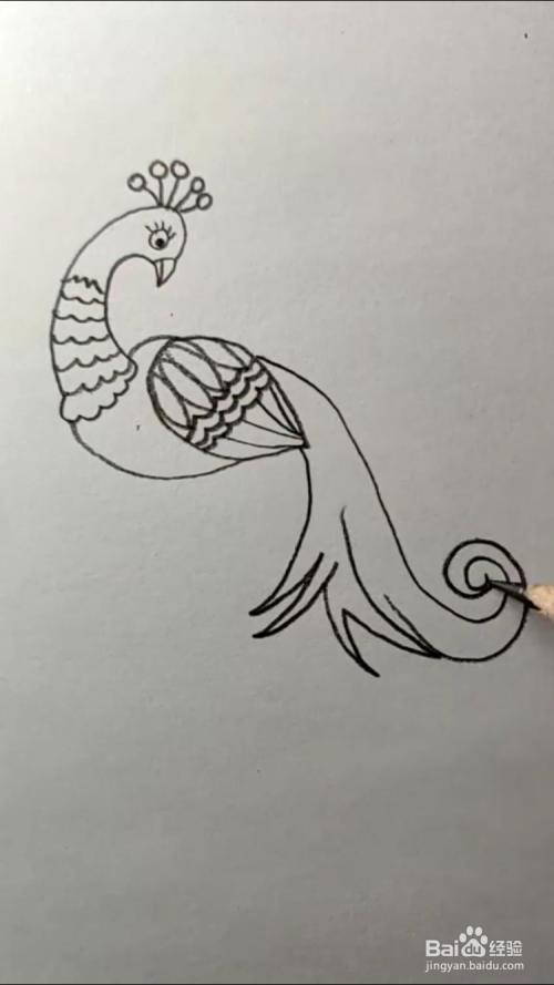 手工/爱好 > 书画/音乐 4 接着画出孔雀的尾巴,如下图所示.