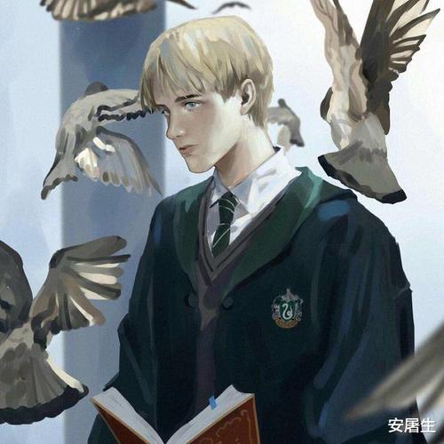 《哈利波特》:斯莱特林发展史