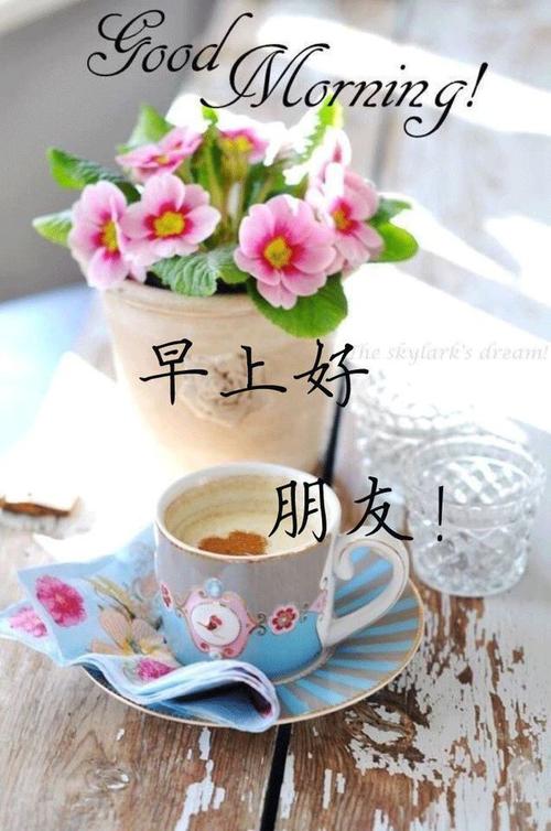 早上好图片带字励志 最新版早安祝福语 最打动人心的早上好问候语短信