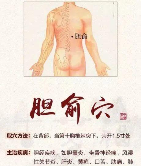 配关元俞,次髎——慢性肠炎(五更泻),慢性痢疾,盆腔炎,子宫内膜异位