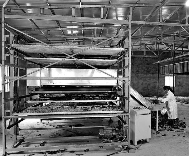 子长:养蚕用上自动化 省时省力又省心