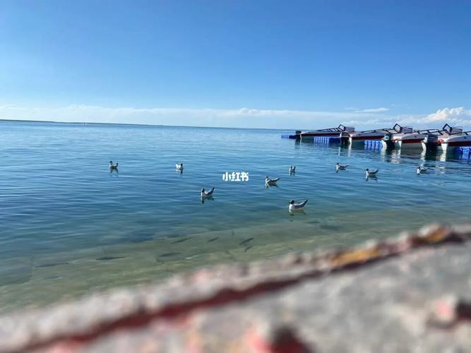青海湖之旅_青海湖_青海湖国家重点风景名胜区攻略_防晒_景点_青海湖