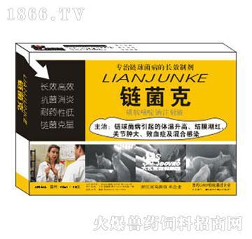 浙江大飞龙动保集团