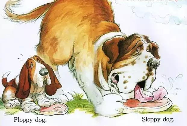 floppy dog.
