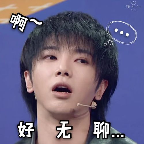 华晨宇《王牌》表情包大放送