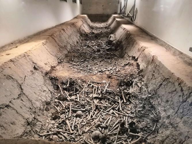 侵华日军淮南罪证旧址—万人坑