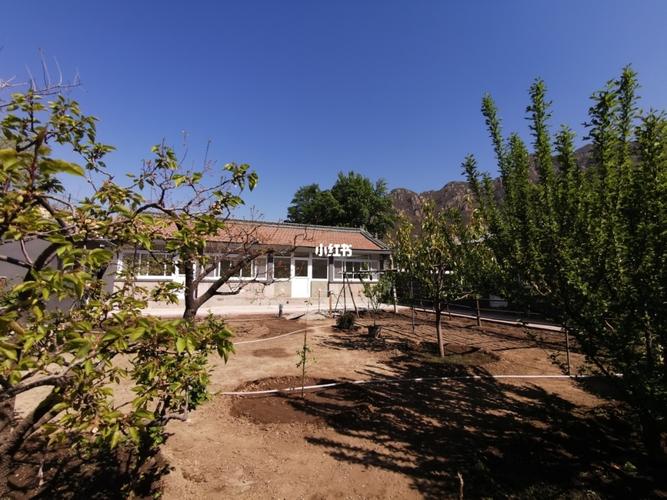 出租昌平小院_出租房_种菜_修身养性_养花_北京出租房