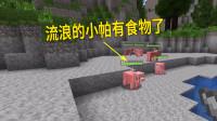 我的世界群峦传说05:小帕被鸡哥撵出去,然后开始流浪