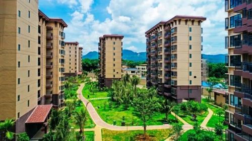 万宁宝安兴隆椰林湾:一步一精彩 健康走起来