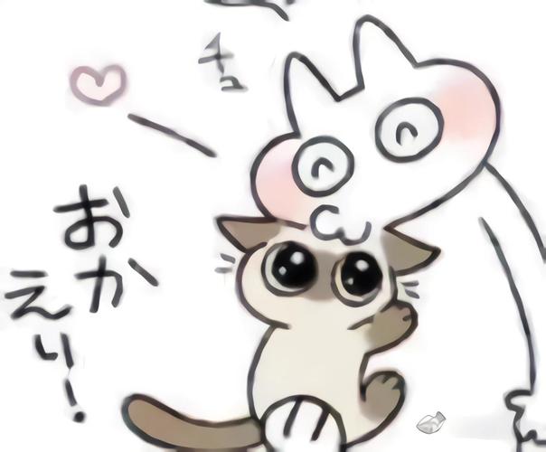 小豆丁 暹罗猫喜欢自取