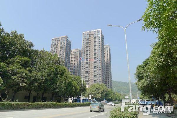 真实图片锦庐花园一手现房 带高级中学 豪装交房直接入住