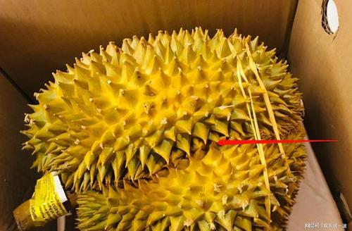 超市榴莲大降价大妈争抢买裂口的内行人看了直摇头浪费钱