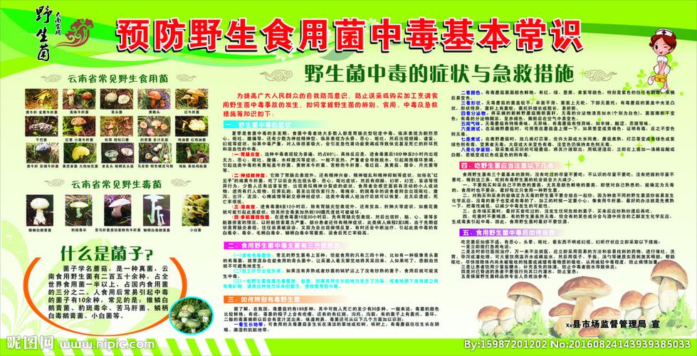 预防食用野生菌中毒基本常识图片