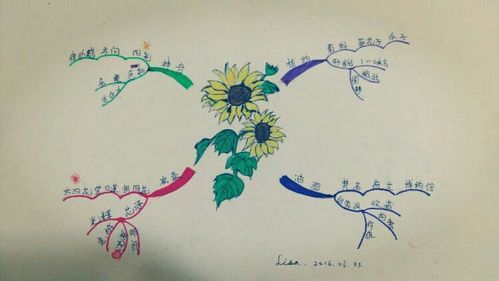 初级班思维导图十四张作业,我毕业啦,留着作业,留着老师,学友,满满的