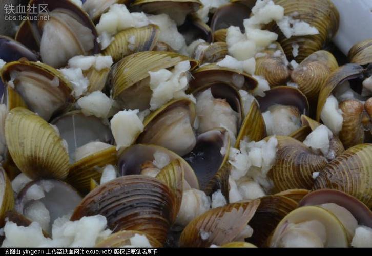 [原创]大鳌岛上的河鲜午饭