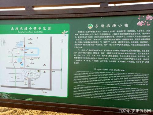 安阳东湖农场小镇人山人海,值得一游