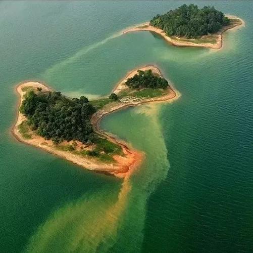 洈水生态岛营地