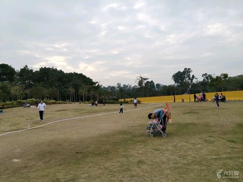 龙华环城绿道大水坑段