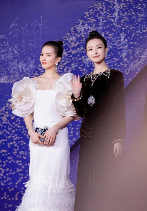 刘诗诗,倪妮真是太有cp感了,同框的样子真抢镜,谁看了不爱