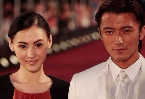 张柏芝儿子的亲子鉴定,亲子鉴定疑曝光?谢霆锋该何去何从