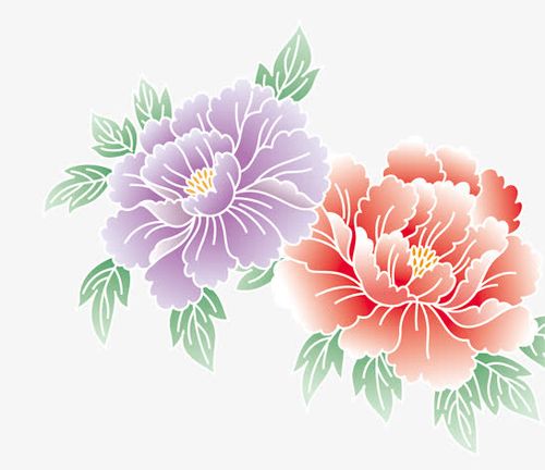 卡通手绘两支盛开牡丹花