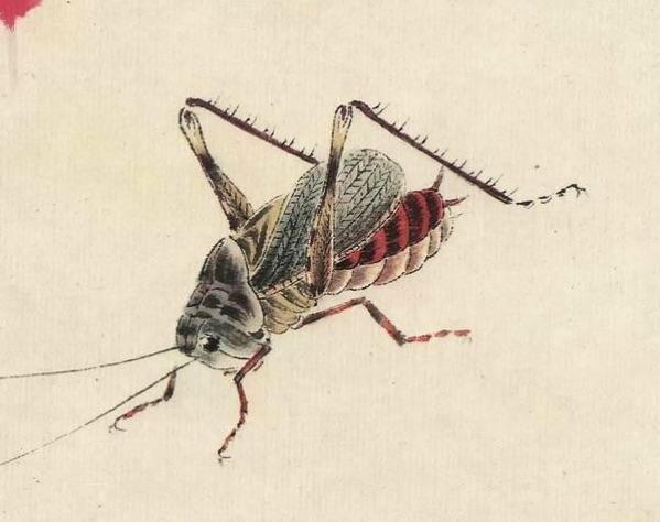 齐白石大师的工笔草虫