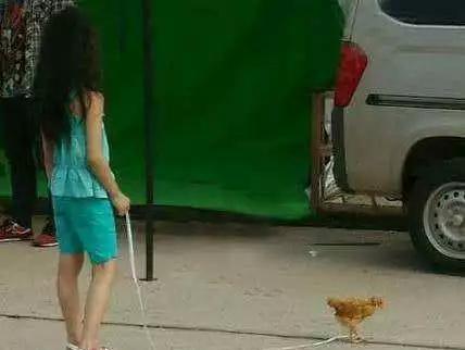 搞笑趣图:闲来无事,带上我的宠物上街溜达溜达