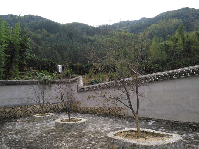 美丽乡村闽清樟洋行