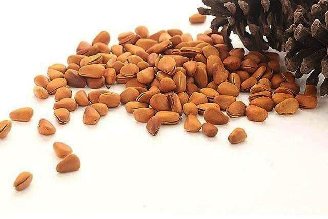 露水河红松果仁