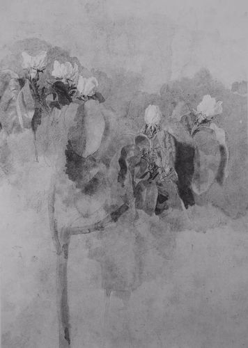 西班牙艺术家洛佩兹·加西亚的素描作品学习欣赏