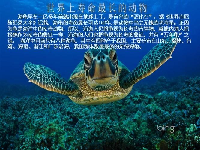 生物播报世界五个之最的动物