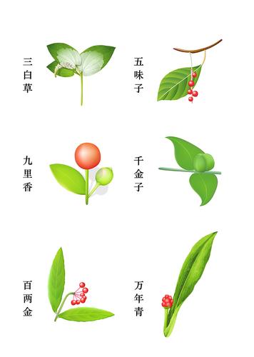 之前,根据照片用ai画了几味中草药.