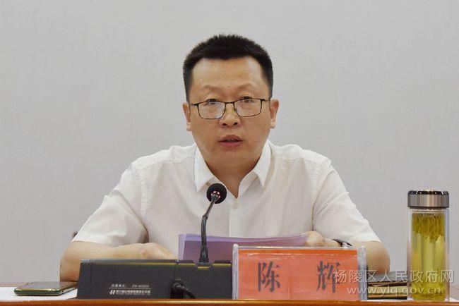 杨陵区召开疫情防控工作视频会议|区委|疾控|陈辉_网易订阅